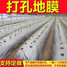 智能大棚種植辣椒 電子電器產(chǎn)品的應(yīng)用與未來(lái)展望